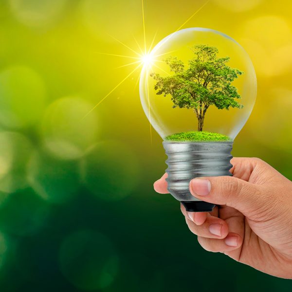 The 5 Types Of Green Energy Beyond Homes Green Living